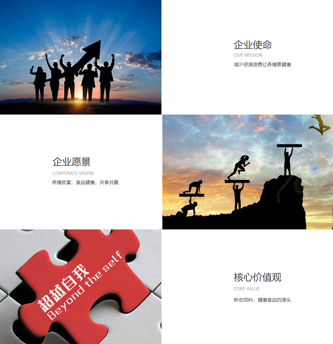 大众娱乐登录大厅(图1)